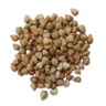 Buckwheat Image